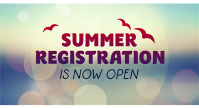 Registration for Summer Ball is NOW OPEN!